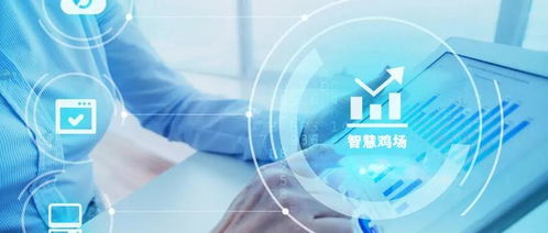 自動(dòng)化生產(chǎn)與信息技術(shù)的深度融合 打造新概念智慧雞場